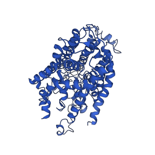0257_6hra_A_v1-1
Cryo-EM structure of the KdpFABC complex in an E1 outward-facing state (state 1)