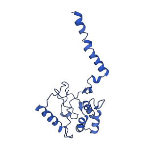 0257_6hra_C_v1-1
Cryo-EM structure of the KdpFABC complex in an E1 outward-facing state (state 1)