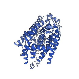 0258_6hrb_A_v1-1
Cryo-EM structure of the KdpFABC complex in an E2 inward-facing state (state 2)