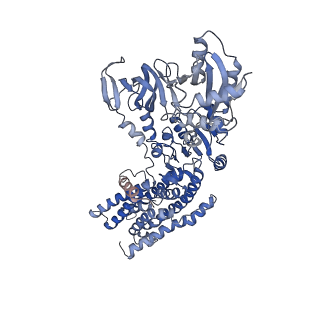 0258_6hrb_B_v1-1
Cryo-EM structure of the KdpFABC complex in an E2 inward-facing state (state 2)