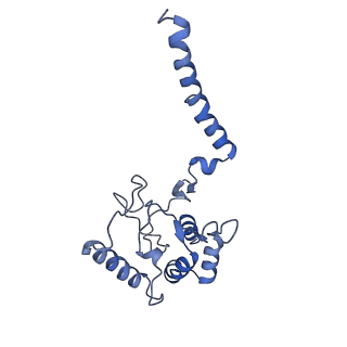 0258_6hrb_C_v1-1
Cryo-EM structure of the KdpFABC complex in an E2 inward-facing state (state 2)