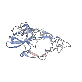 0261_6hrm_B_v1-1
E. coli 70S d2d8 stapled ribosome