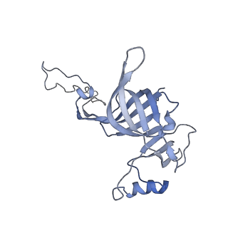 0261_6hrm_C_v1-1
E. coli 70S d2d8 stapled ribosome