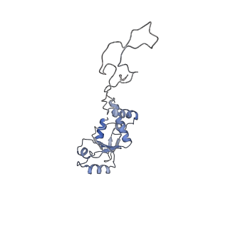 0261_6hrm_D_v1-1
E. coli 70S d2d8 stapled ribosome