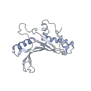 0261_6hrm_E_v1-1
E. coli 70S d2d8 stapled ribosome