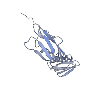 0261_6hrm_F_v1-1
E. coli 70S d2d8 stapled ribosome