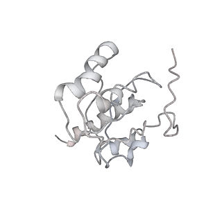 0261_6hrm_H_v1-1
E. coli 70S d2d8 stapled ribosome