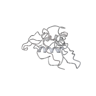 0261_6hrm_I_v1-1
E. coli 70S d2d8 stapled ribosome