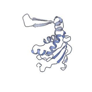 0261_6hrm_J_v1-1
E. coli 70S d2d8 stapled ribosome