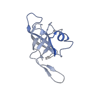 0261_6hrm_K_v1-1
E. coli 70S d2d8 stapled ribosome