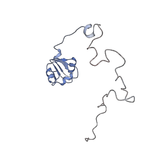 0261_6hrm_L_v1-1
E. coli 70S d2d8 stapled ribosome
