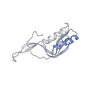 0261_6hrm_M_v1-1
E. coli 70S d2d8 stapled ribosome