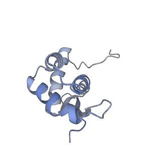 0261_6hrm_N_v1-1
E. coli 70S d2d8 stapled ribosome