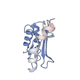 0261_6hrm_O_v1-1
E. coli 70S d2d8 stapled ribosome