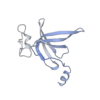0261_6hrm_P_v1-1
E. coli 70S d2d8 stapled ribosome