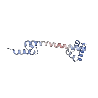 0261_6hrm_Q_v1-1
E. coli 70S d2d8 stapled ribosome