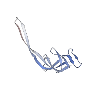 0261_6hrm_R_v1-1
E. coli 70S d2d8 stapled ribosome