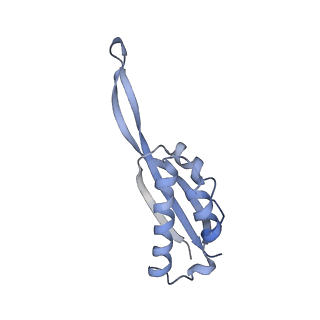 0261_6hrm_S_v1-1
E. coli 70S d2d8 stapled ribosome