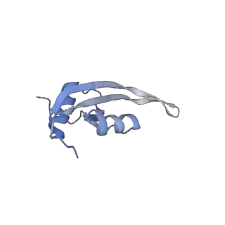 0261_6hrm_T_v1-1
E. coli 70S d2d8 stapled ribosome