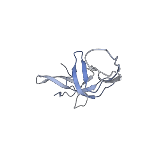 0261_6hrm_U_v1-1
E. coli 70S d2d8 stapled ribosome