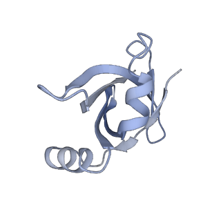 0261_6hrm_V_v1-1
E. coli 70S d2d8 stapled ribosome