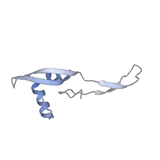 0261_6hrm_X_v1-1
E. coli 70S d2d8 stapled ribosome
