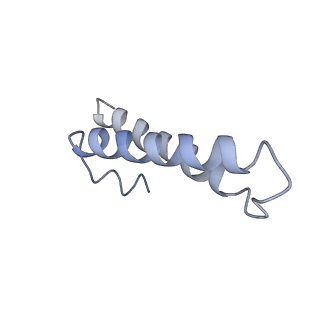 0261_6hrm_Y_v1-1
E. coli 70S d2d8 stapled ribosome