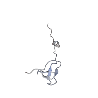 0261_6hrm_b_v1-1
E. coli 70S d2d8 stapled ribosome