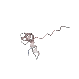 0261_6hrm_d_v1-1
E. coli 70S d2d8 stapled ribosome