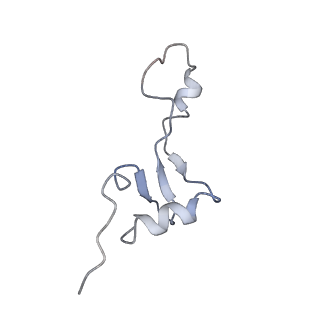 0261_6hrm_e_v1-1
E. coli 70S d2d8 stapled ribosome