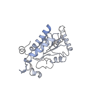 0261_6hrm_g_v1-1
E. coli 70S d2d8 stapled ribosome