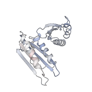 0261_6hrm_h_v1-1
E. coli 70S d2d8 stapled ribosome