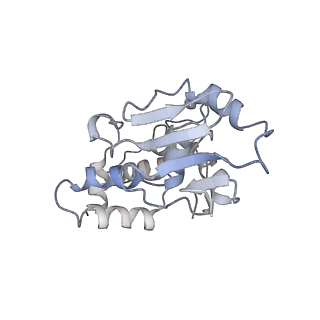 0261_6hrm_i_v1-1
E. coli 70S d2d8 stapled ribosome