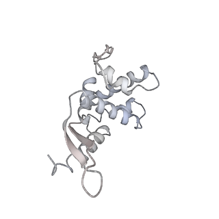 0261_6hrm_l_v1-1
E. coli 70S d2d8 stapled ribosome