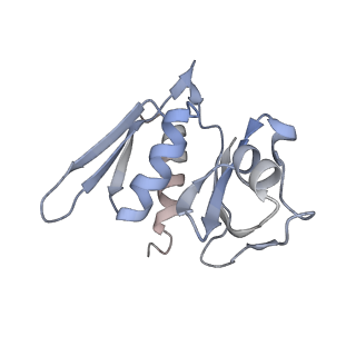 0261_6hrm_m_v1-1
E. coli 70S d2d8 stapled ribosome