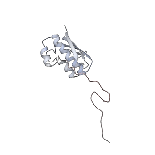 0261_6hrm_n_v1-1
E. coli 70S d2d8 stapled ribosome