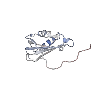 0261_6hrm_p_v1-1
E. coli 70S d2d8 stapled ribosome