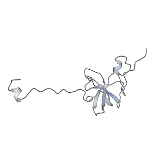 0261_6hrm_q_v1-1
E. coli 70S d2d8 stapled ribosome