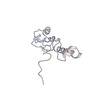0261_6hrm_r_v1-1
E. coli 70S d2d8 stapled ribosome