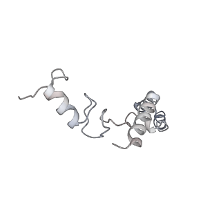 0261_6hrm_s_v1-1
E. coli 70S d2d8 stapled ribosome