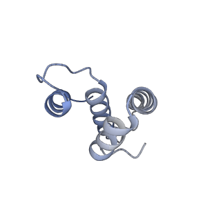 0261_6hrm_t_v1-1
E. coli 70S d2d8 stapled ribosome