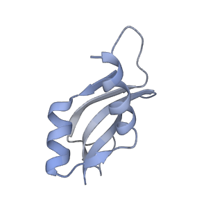 0261_6hrm_u_v1-1
E. coli 70S d2d8 stapled ribosome