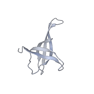 0261_6hrm_v_v1-1
E. coli 70S d2d8 stapled ribosome