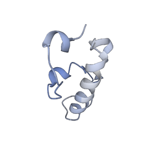 0261_6hrm_w_v1-1
E. coli 70S d2d8 stapled ribosome