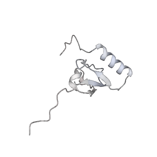0261_6hrm_x_v1-1
E. coli 70S d2d8 stapled ribosome