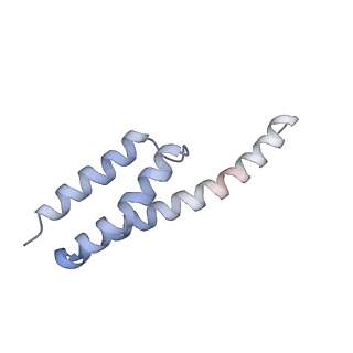 0261_6hrm_y_v1-1
E. coli 70S d2d8 stapled ribosome