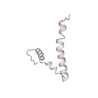 0261_6hrm_z_v1-1
E. coli 70S d2d8 stapled ribosome
