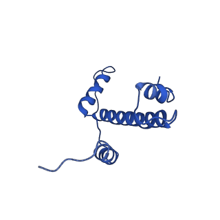 34956_8hr1_A_v1-2
Cryo-EM structure of SSX1 bound to the unmodified nucleosome at a resolution of 3.02 angstrom