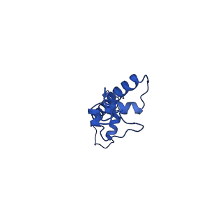 34956_8hr1_C_v1-2
Cryo-EM structure of SSX1 bound to the unmodified nucleosome at a resolution of 3.02 angstrom