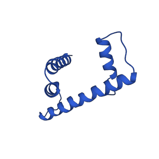 34956_8hr1_D_v1-2
Cryo-EM structure of SSX1 bound to the unmodified nucleosome at a resolution of 3.02 angstrom